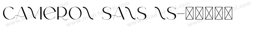 cameron sans ns字体转换